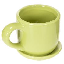Prodotto Tazza da caffè, decorazione da tavolo per un design elegante della stanza con piante, 11 cm, 3 pezzi