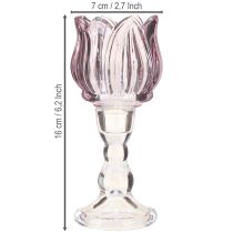 Prodotto Portacandele in vetro a forma di tulipano in vetro viola Ø7cm H16cm 2pz