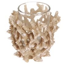 Prodotto Portacandela decorazione corallo crema marittima marrone H9cm 2 pezzi