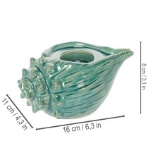 Prodotto Portacandele decorativo a forma di conchiglia, da tavolo, per bagno, soggiorno, 16 cm