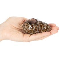 Prodotto Portacandele a forma di pigna, 8 cm, 3 pezzi