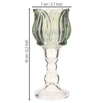 Prodotto Portacandela in vetro tulipano portacandela in vetro verde Ø7cm H16cm 2pz