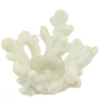 Prodotto Portacandela corallo decorativo crema marittimo Ø12cm H8cm
