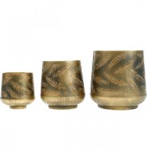 Prodotto Portacandela natalizio in metallo bronzo, oro Ø13,5 / 11 / 8,5 cm, set di 3
