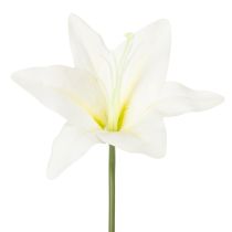 Prodotto Fiori artificiali di giglio tigrato bianco per vasi e composizioni, mazzo da 6 pezzi da 29 cm.