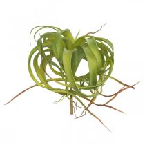 Tillandsia artificiale da attaccare pianta artificiale verde chiaro 30cm