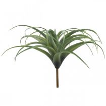 Deco Tillandsia pianta artificiale artificiale da attaccare verde Ø45cm