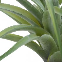 Deco Tillandsia pianta artificiale artificiale da attaccare verde Ø45cm