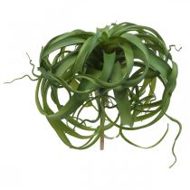 Prodotto Tillandsia Pianta verde artificiale da attaccare Large Green Ø40cm