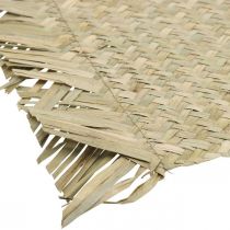 Prodotto Tovaglietta rettangolare alga marina decorazione tavola giacinto d&#39;acqua natura 33×48cm
