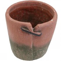 Prodotto Fioriera in cemento fioriera vaso in terracotta Ø18cm H17cm