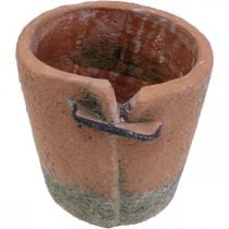 Fioriera in cemento fioriera vaso in terracotta Ø13cm H13cm