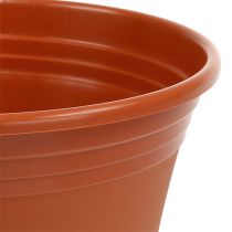 Prodotto Vaso “Irys” in plastica terracotta Ø19cm H16cm, 1pz