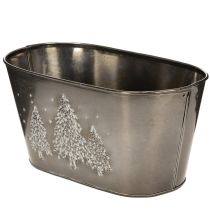 Prodotto Fioriera ovale con decorazione a rilievo di abete, 25 cm