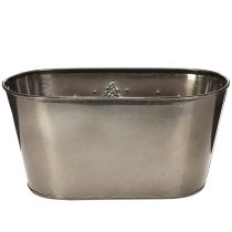 Prodotto Fioriera ovale con decorazione a rilievo di abete, 25 cm