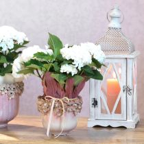 Prodotto Vaso per fiori in ceramica rosa – Elegante vaso per piante con decorazione floreale Ø16cm