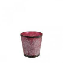 Prodotto Fioriera con decorazione a foglia, vaso in metallo, autunno, vaso per piante rosso vino Ø10cm H10cm