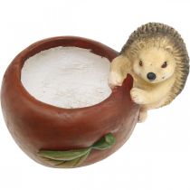 Prodotto Fioriera, mela con riccio, decoro autunnale, cachepot, ceramica Ø16cm H22cm W33cm