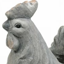 Pollo da piantare, decorazione pasquale, vaso per piante, molla, pollo decorativo effetto cemento H30 cm
