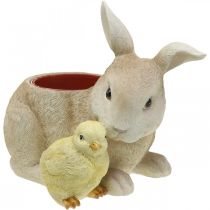 Decorazione pasquale per piantare, coniglio e pulcino, primavera, vaso per piante H24cm L30cm