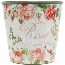 Prodotto Fioriera, secchio per piantare, fioriera con rosa H13cm Ø13,5cm