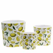 Fioriera giallo limone Ø8 / 10 / 13cm, set di 3