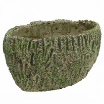 Prodotto Fioriera in cemento ovale aspetto antico verde, marrone 24×14×13 cm