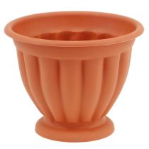 Prodotto Pentola con base in plastica terracotta Ø 15 cm - 21 cm, 1 pz