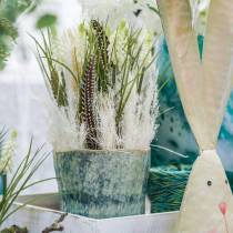 Prodotto Giacinti d&#39;uva in mazzetto bianco 30 cm 15 pz