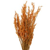 Prodotto Deco di avena secca deco in arancione L64 cm 70-75 g 2 pezzi