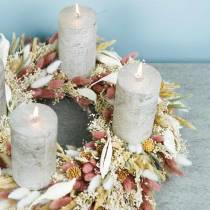 Erba secca per la pulizia della lampada Lagurus Flower 100g sbiancata