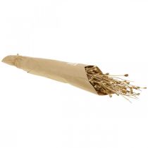 Prodotto Fiori secchi capsule di semi di papavero natura essiccati selvatici secchi decorazione mazzo 100g