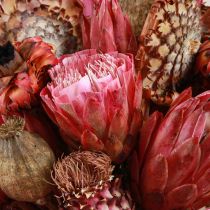 Prodotto Fiori secchi mix papavero carciofo protea rosa 38 cm 580 g