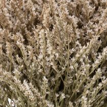 Prodotto Mazzo di fiori secchi di lavanda di spiaggia Statice, 1 kg