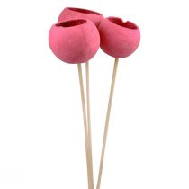 Prodotto Campane decorative con fiori secchi su gambo rosa 42 cm 3 pz
