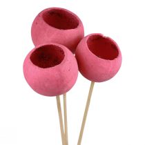 Prodotto Campane decorative con fiori secchi su gambo rosa 42 cm 3 pz