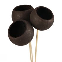 Prodotto Campane decorative con fiori secchi su gambo nere 44 cm 3 pz