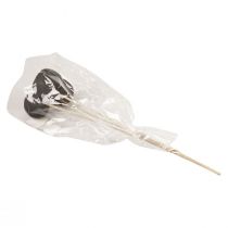 Prodotto Campane decorative con fiori secchi su gambo nere 44 cm 3 pz