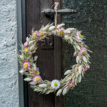 Anello di fiori secchi Anello rosa Anello di fiori secchi Scatola fai da te Ø20cm
