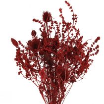 Prodotto Bouquet di fiori secchi decorazione di cardo rosso vino 40 cm 80 g