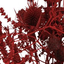 Prodotto Bouquet di fiori secchi decorazione di cardo rosso vino 40 cm 80 g