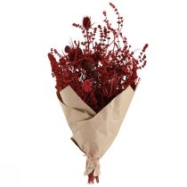Prodotto Mazzo di fiori secchi, rosso vino, cardo decorativo, 40 cm, 80 g