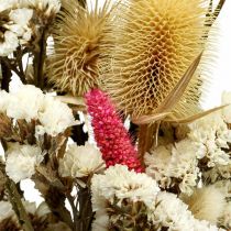 Mazzo di fiori secchi Fiori di paglia Mazzo di cardo 40–45cm