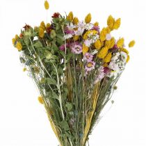 Mazzo misto di fiori secchi Mazzo secco di bouquet di fiori di campo 58cm
