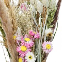 Bouquet di fiori secchi erba Phalaris fiori di paglia rosa 60cm 110g