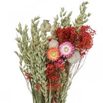 Prodotto Bouquet di fiori secchi Bouquet di fiori di campo Rosso H50cm 150g