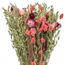 Mazzo di fiori secchi fiori di paglia grano papavero capsula Phalaris carice 55cm