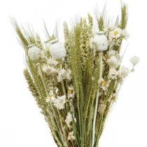Bouquet di fiori secchi fiori di paglia grano papavero capsula erba secca 50cm