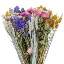 Mazzo di fiori essiccati lavanda marina Phalaris chicco 55cm