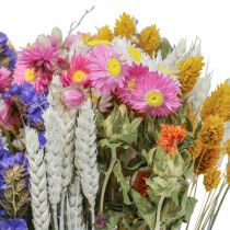 Mazzo di fiori essiccati lavanda marina Phalaris chicco 55cm